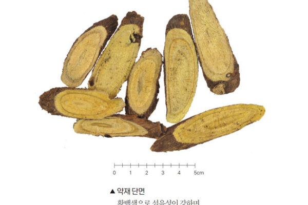 감초(성미, 귀경, 적응증, 복용법)