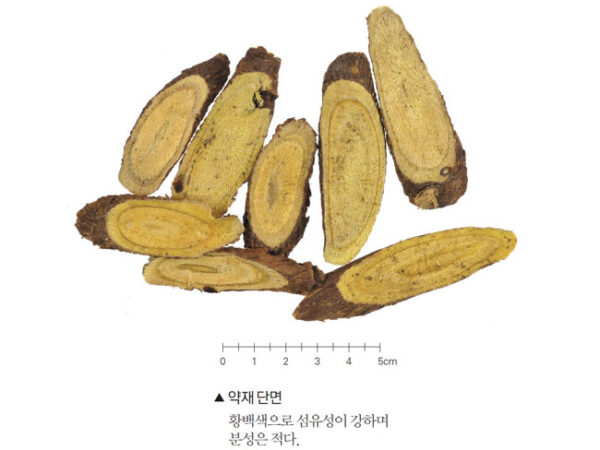 감초(성미, 귀경, 적응증, 복용법)