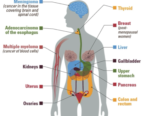 Stressful Living Invites Cancer, Excessive Greed Leads to Metabolic Disorders