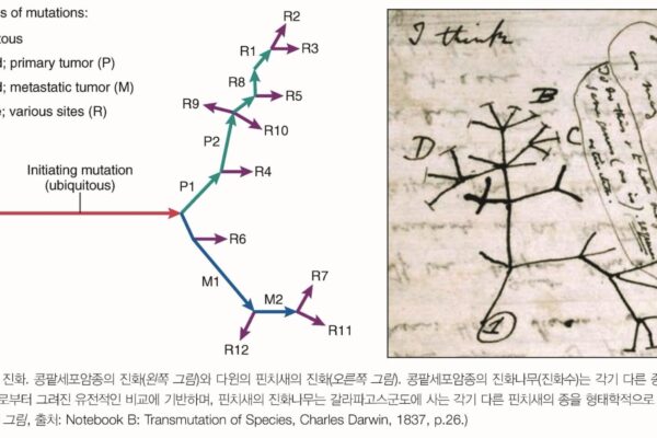 The Miraculous Process of Carcinogenesis: Understanding the Molecular Mechanism